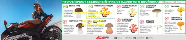 эйфоретик Вяземский