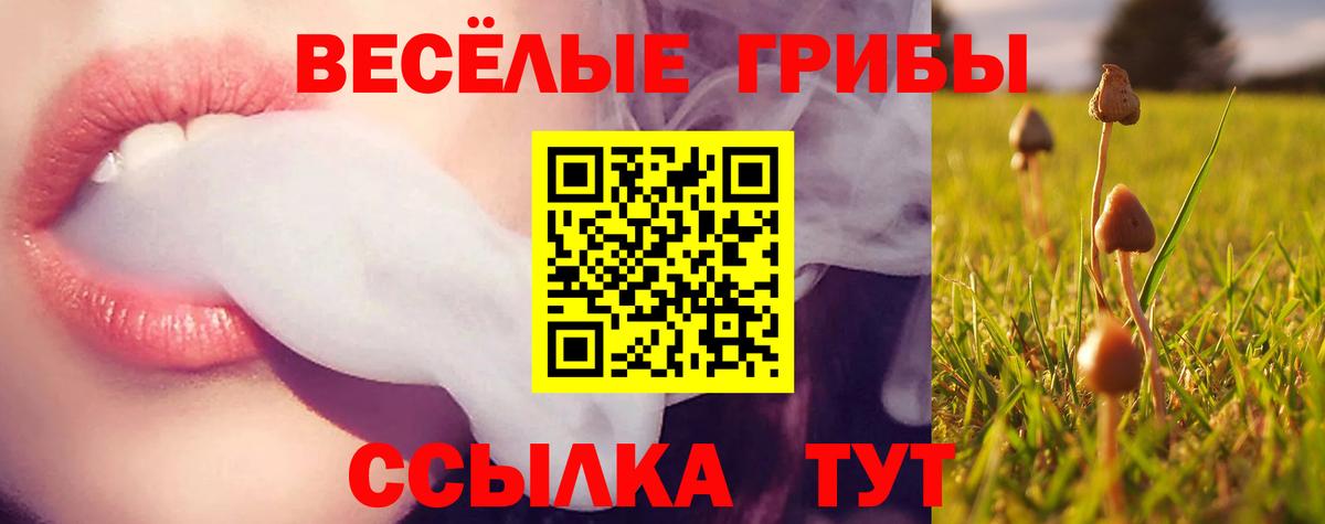 Галлюциногенные грибы Cubensis  Вход с VPN  Галлюциногенные грибы мухоморы  где купить наркоту  Гуково 