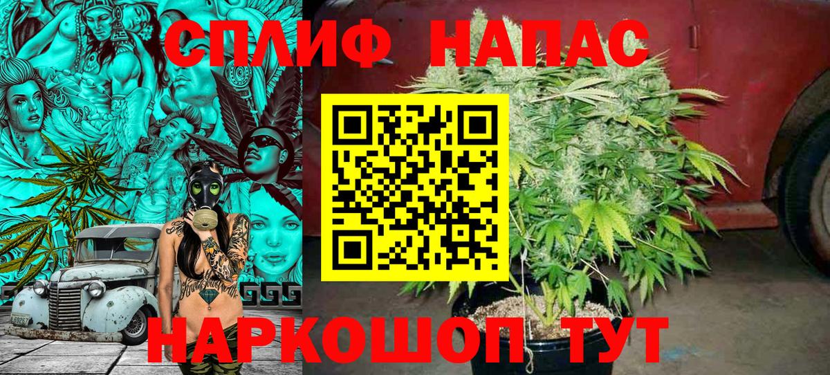 Канабис семена Гуково